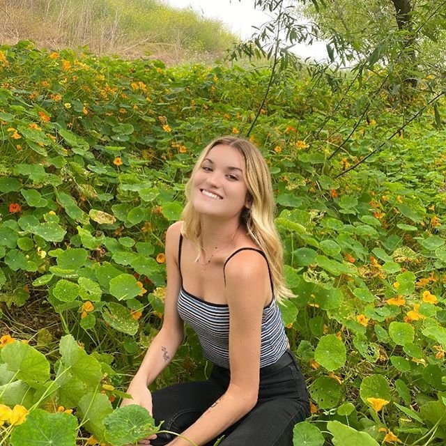 SunnyDottie from Massachusetts,United States